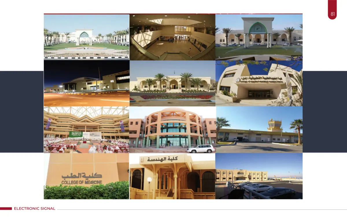 المنشآت المؤسسية والحكومية